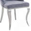 Ensemble de 2 chaises d'appoint en tissu et en acier inoxydable