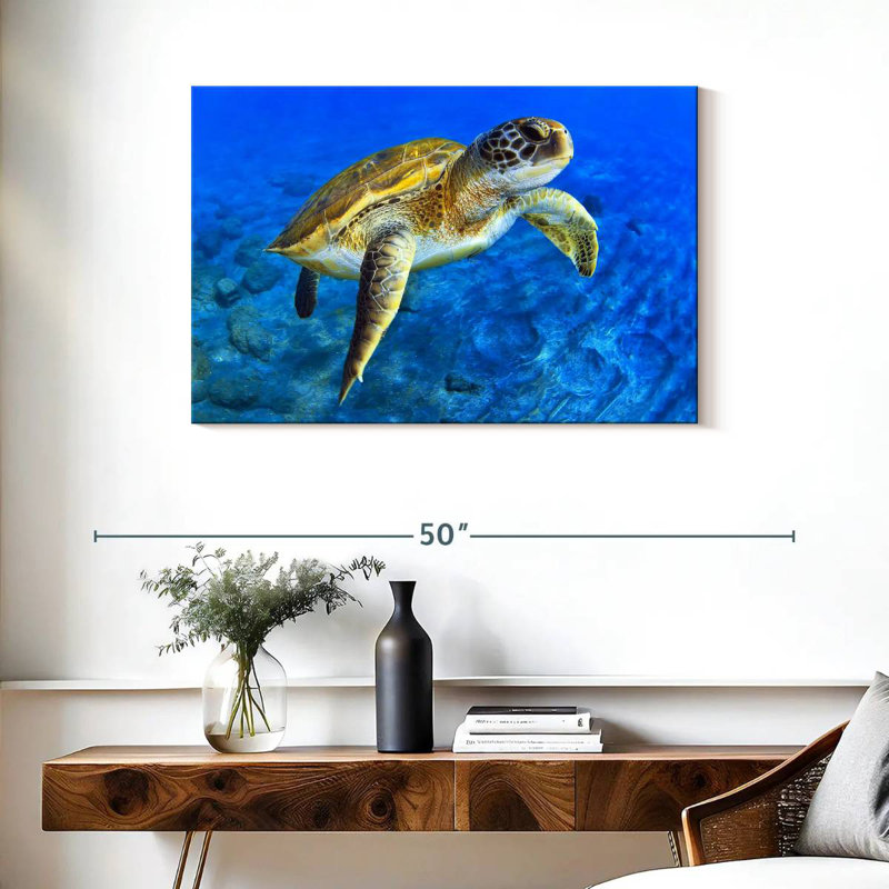 Brampt Sea Turtle Explorer, 24" H x 36" W