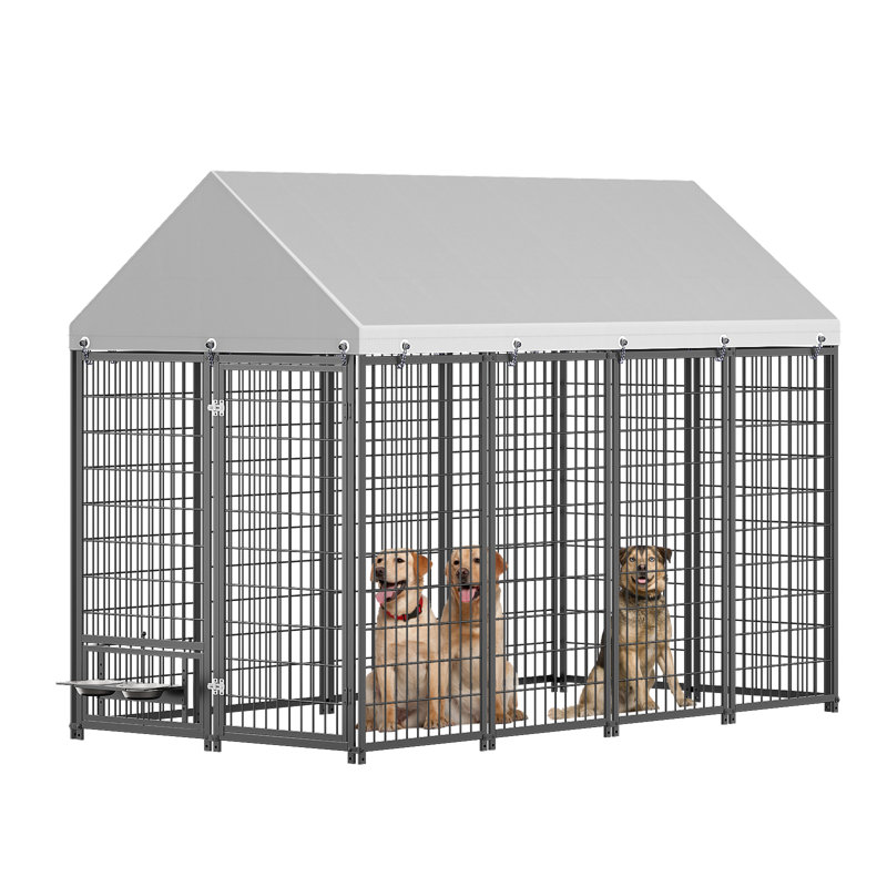 Grand enclos pour chien chenil pour l'extérieur