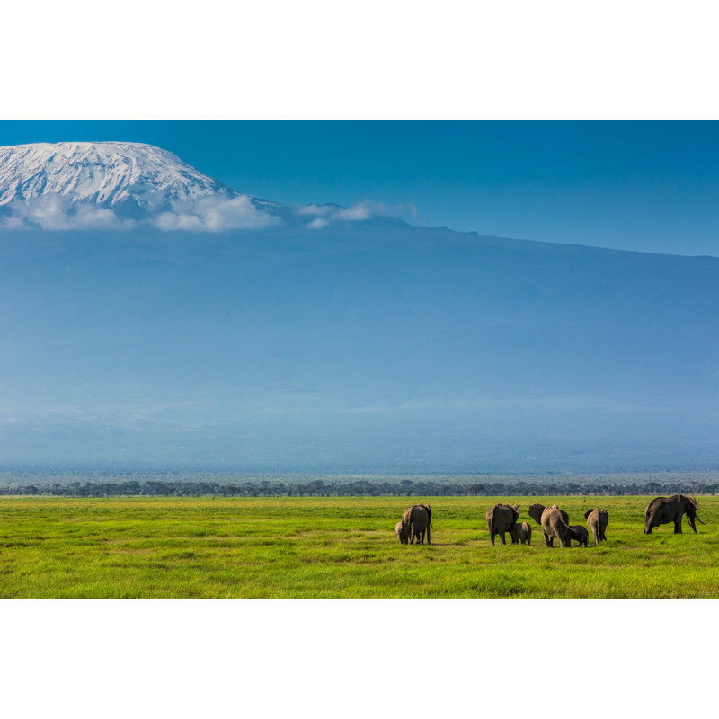 Kilimanjaro And Elephants Family by 1001slide - Wrapped Canvas Print, 20cm H x 30cm W