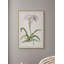 Lilium 2 Print-713476538
