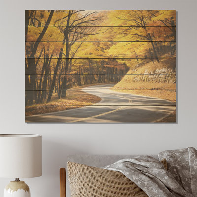 Golden Road Of Autumn III - Route sur bois