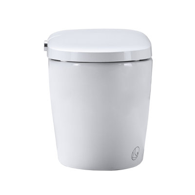 Combinaison de bidet de toilette intelligente avec buse autonettoyante, siège chauffant, veilleuse, commande à bouton, chasse d'eau en cas de panne de courant, fermeture en douceur, chasse automatique, avec télécommande