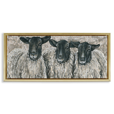 Three Sheep Trio Portrait
