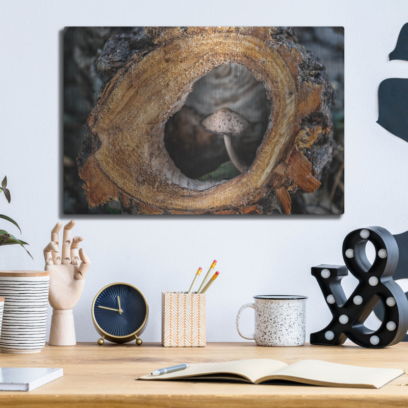 Ivy Bronx «Textures 40» par Gordon Semmens, art mural en métal, H 12 po x l 16 po