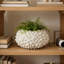 Reef Bloom Coral Bowl