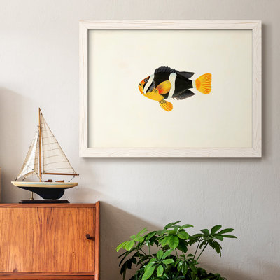 " Tropical Fish Collection II "
