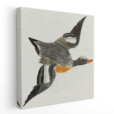 Flying Ducks I - reproduction d'art sur toile