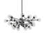 30 - Light Chandelier