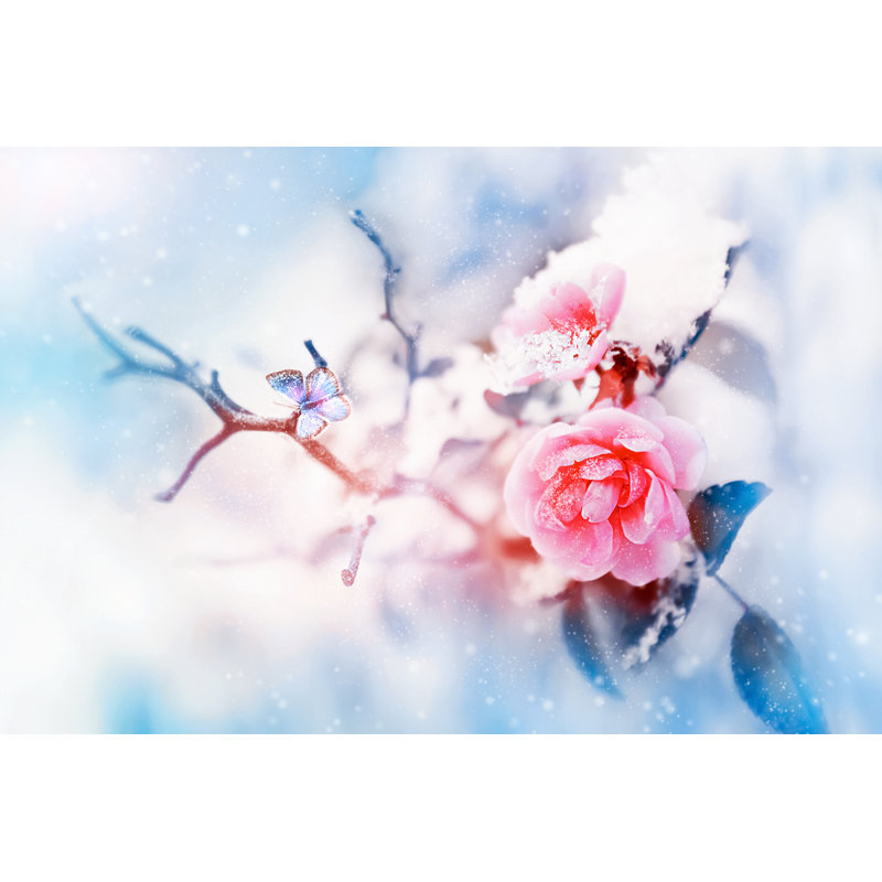 Beautiful Pink Roses And Butterfly In The Snow by Delbars - Wrapped Canvas Print, 30cm H x 46cm W x 3.8cm D