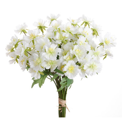 DAISY BUNDLE 24 STEMS SET OF 12