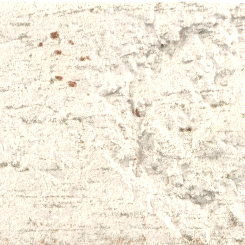 Sequoia 3" x 10" Ceramic Wood look Wall Tile