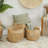 Sand & Stable™ Seagrass Basket