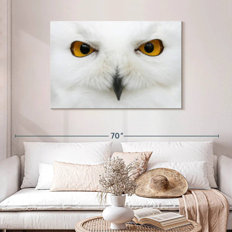 Brampt yeux de chouette des neiges, H 30 po x l 45 po