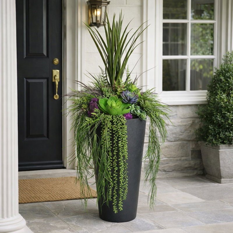 Plante grasse mauve en pot