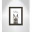 Le lapin est courage-48163492-48169697