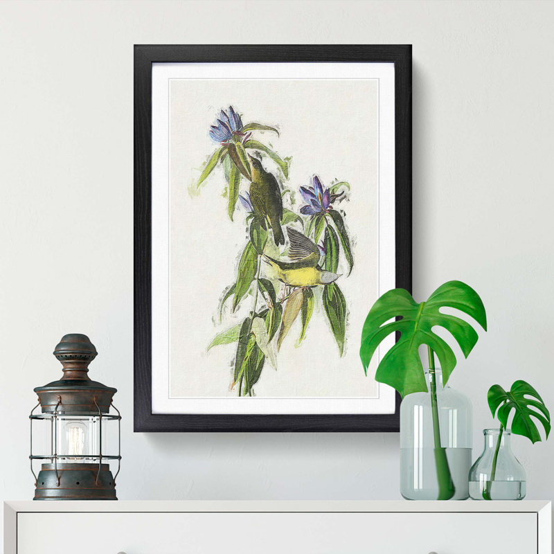 Connecticut Warbler Birds by John Audubon - Picture Frame Painting Print, 36cm H x 27cm W x 2cm D, Black Framed
