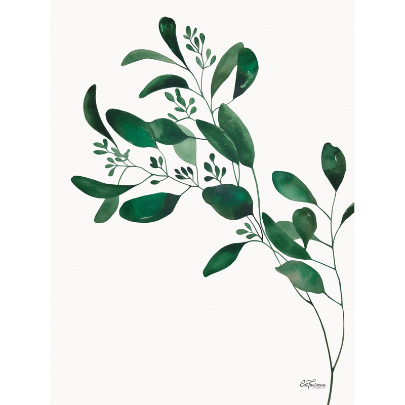 Branche d'eucalyptus par Cat Thurman Designs, Papier doré encadré d'une seule photo, H 32 po x l 24 po, Blanc