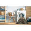 Indoor Rug-87357578