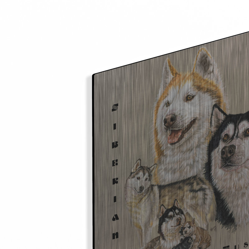 «Husky sibérien» par Barbara Keith, H 16 po x l 12 po
