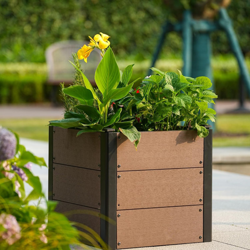 Planter, 60cm H x 64cm W x 64cm D