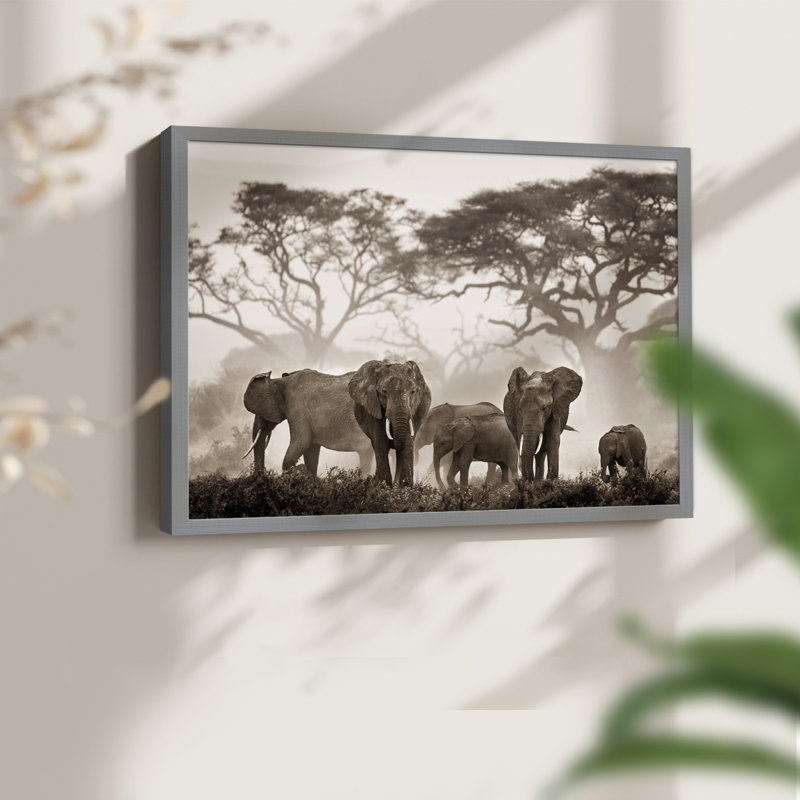 Parc national Amboseli - reproduction encadrée - réarmable, H 22 po x l 28 po, Gris