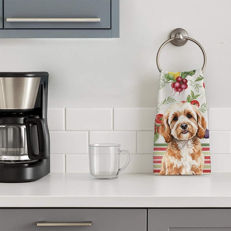 Torchon Cavapoo, Cavapoo