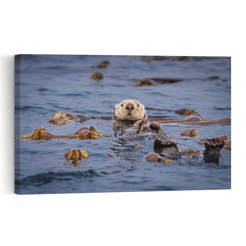 Curious Sea Otter Peaceful Serene Contemporary Animal Nature Wall Art Print, 30.48cm H x 45.72cm W