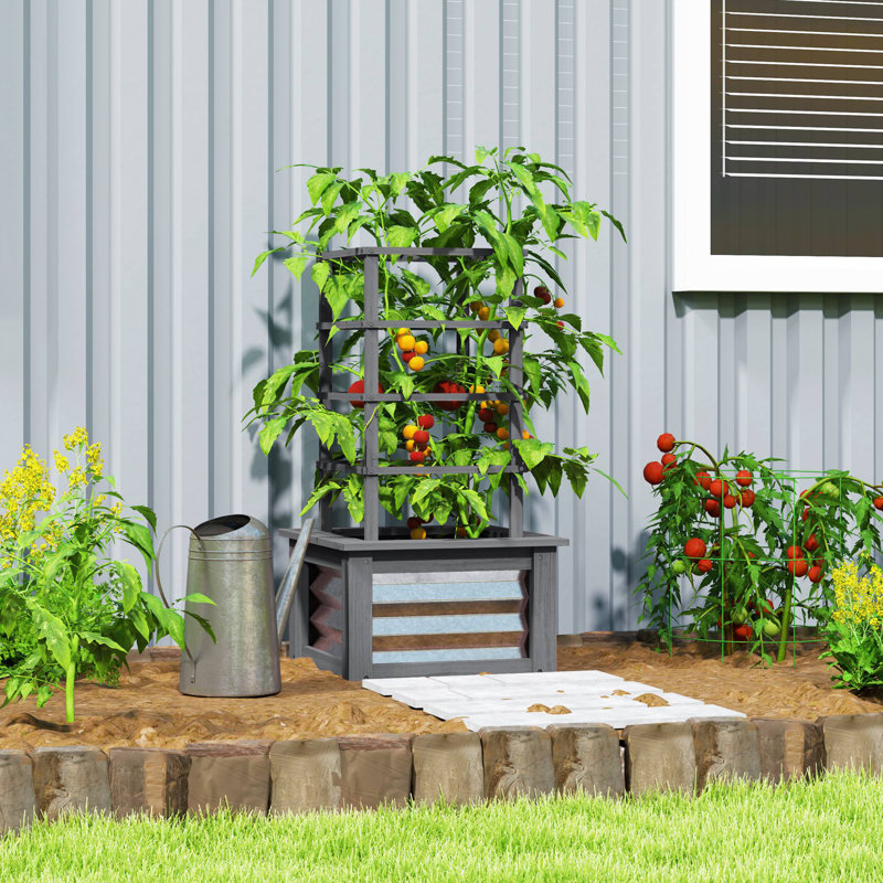 Wooden Raised Garden Bed With Trellis, Galvanized Planter Box Elevated Garden Bed For Garden, Patio, Gray, Gray