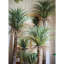 Palmier artificiel marocain en pot-2111387655