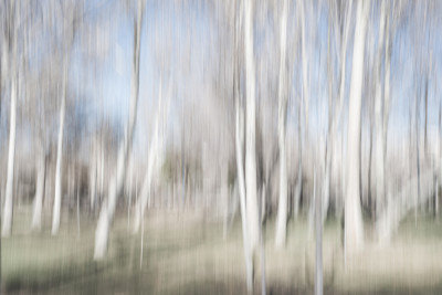 Wrapped Canvas Print, 50.8 cm H x 76.2 cm W