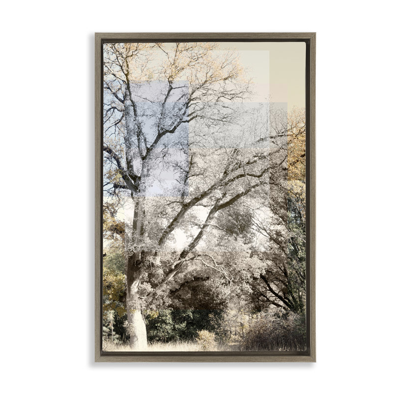 Cadre flottant Tree Collage Layers, design par Gemma Bardot, Cadre flottant orme Montalcino, H 25 po x l 17 po
