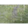 Premium Machine Washable Kumbhar AMF1363 Modern Rug