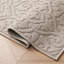 Feya Machine Woven Synthetic Aera Rug in Gray-1830222477-1814122473