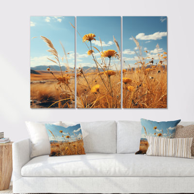 Ensemble de salon coucher de soleil fleurs d'été Meadows - prairies