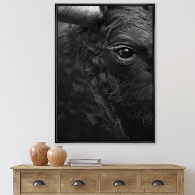 " Detail Of Eye Of A Bull "