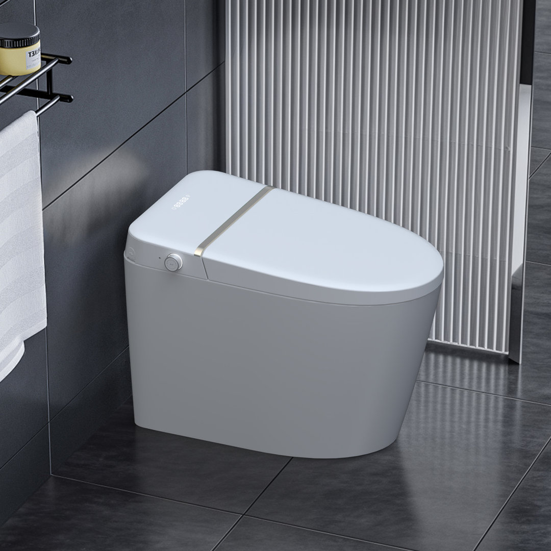 Smart Bidet Toilet, Elongated Comfort Height Bidet Toilet With Warm Wash, Heated Seat (Seat Included) FANGFLOWER