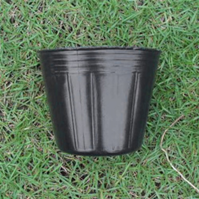 Ensemble de pots à fleurs en plastique 100 pièces Meryem, H 3,74 po x l 3,74 po x P 3,74 po