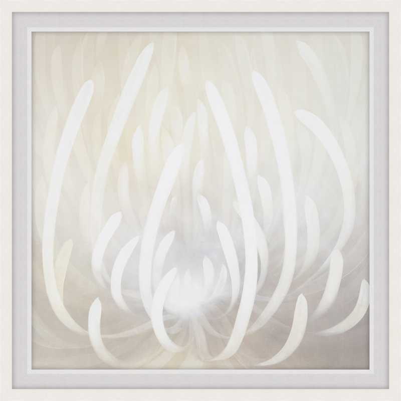 Exquisite Treasures 1 by Art House Studios, 22" H x 22" W x 1" D