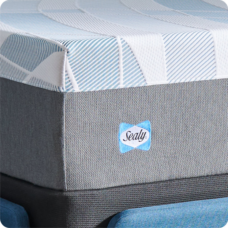 Sealy Dreamlife 14” Plush Foam Mattress-in-a-Box, Queen