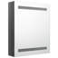 Sigismund 500mm W 600mm H Surface Frameless Medicine Cabinet Mirror 3 Fixed-61751196