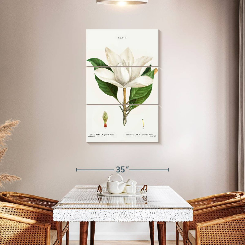 Harnek Magnolia du Sud, H 45 po x l 28 po