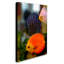 Reproduction de photo sur toile tendue, "multi-color discus" par kurt shaffer-13608788
