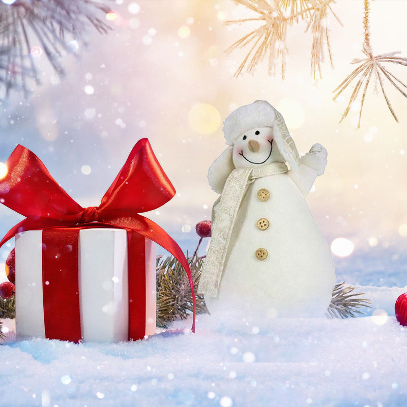 Christmas Decorative Accent