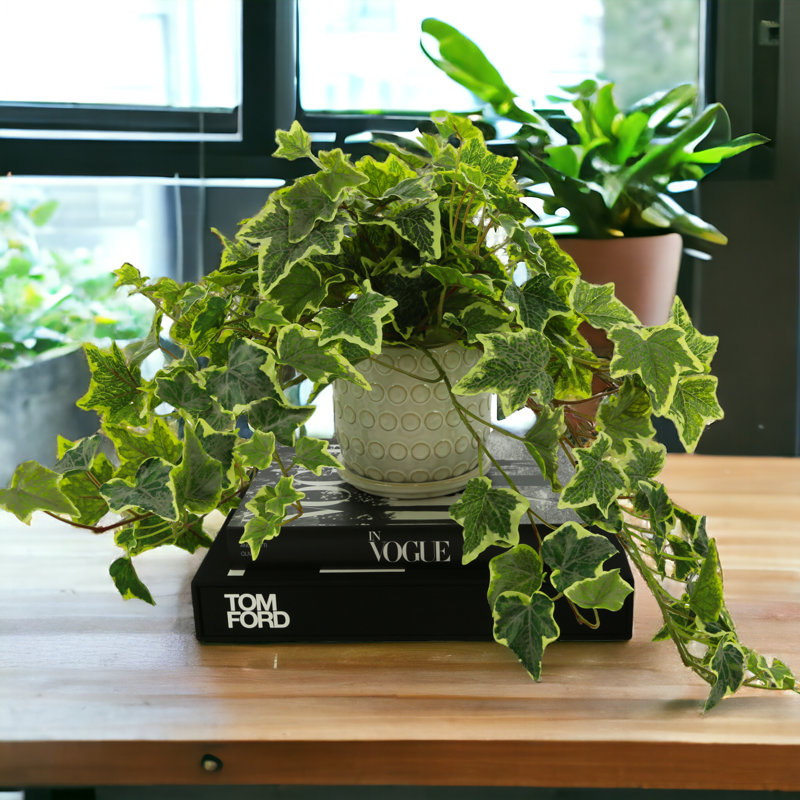 Fausse plante lierre 14 po dans un pot en céramique