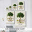 Arbre antique avec fruitier - Cavas enveloppés de galerie-651783424