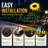Solar Outdoor Garden Lights LED Stake Waterproof Pathway Light for Yard Patio Landscape Decorations