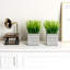 22.99 cm H Faux Onion Grass Plant in Cement Planter