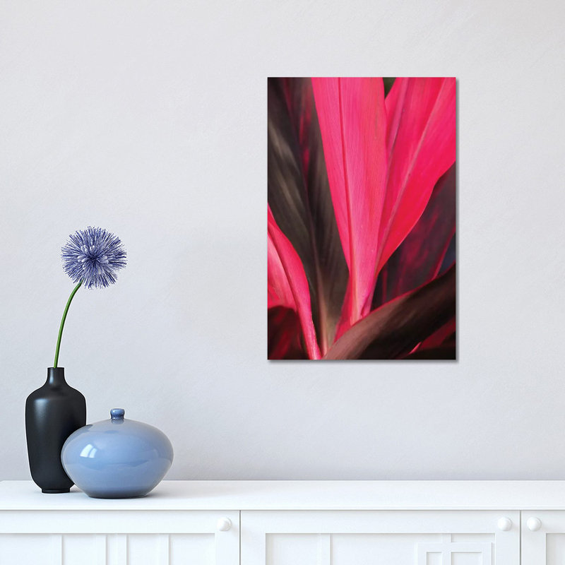 Tropical Ti by Brian Wolf - Wrapped Canvas Print, 45.72cm H x 30.48cm W x 1.91cm D