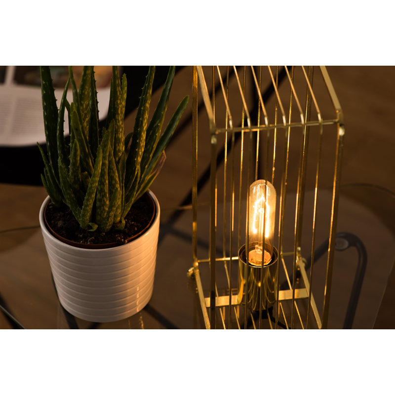 Core Metal Novelty Lamp